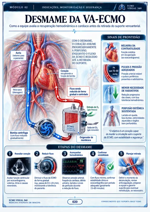 Hipoxemia na VV-ECMO